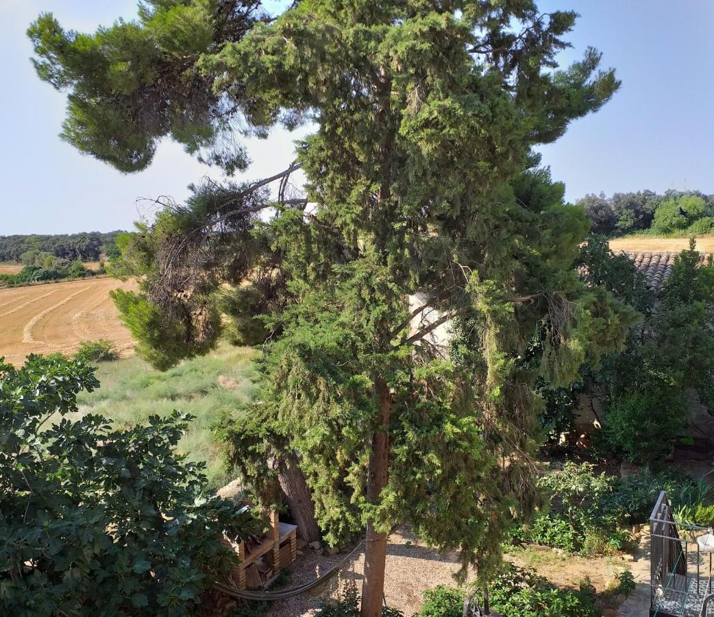 Casa Rural Boletas Loporzano Εξωτερικό φωτογραφία